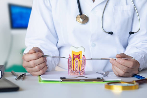 Best Emergency Treatment for Oral Infections in Woodland Park, CO